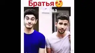 Любовь не понимает слов  . Братья