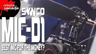 SYNCO Mic-D1 Phantom Powered Studio and Camera Mic | Shotgun Microphone Review