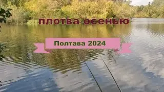 Ворскла. Ловля плотвы осенью