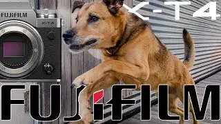 FUJIFILM XT4 - Focus, Tracking, fps & Conclusion