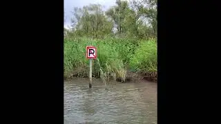 De Biesbosch