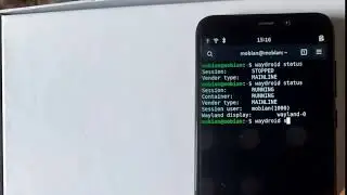 Fixing Waydroid Play Protect certification status issues