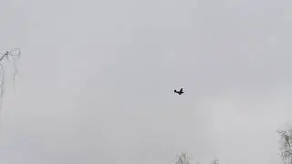 Ан-2 после ремонта над домами