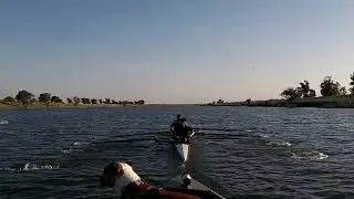 May7 Pocock