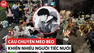 Câu chuyện Mèo Béo Trung Quốc: Nhiều người đem hoa, đồ ăn đến chân cầu để viếng