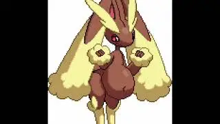 Lopunny belly growth