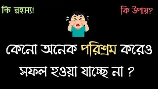 আমি সফল কেন হতে পারছি না ?