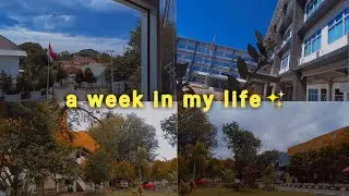 a week in my life at college