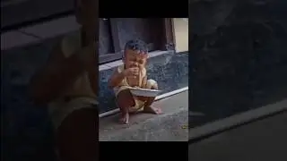 Viral Video Part 3#shorts #tiktok #viral