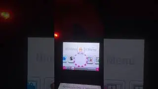Nintendo Dsi + Internet