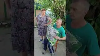 19 июня 2024 г.