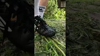 asmr