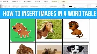 How to insert images into a  table of MS Word