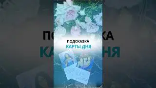 ПОДСКАЗКА КАРТЫ ДНЯ