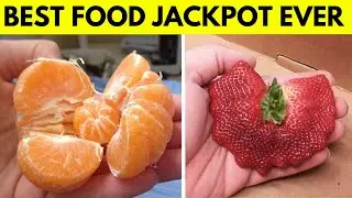 The Best Food Lottery Ever People Won.