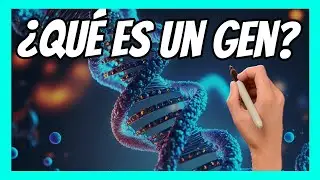 🧬 DNA and the GENOME | Scientific explanation in 10 minutes 🧬