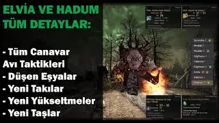 Elvia Sunucuları Hakkında Bilmeniz Gereken Her şey - Hadum Genel Tanıtım | BDO Kılavuz