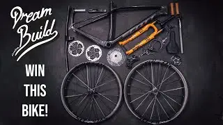 WIN this DREAM BUILD Scott Scale!