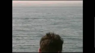 Whale Watching Harvey Bay Part 1