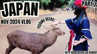 JAPAN VLOG NOV 2024 - WITH NARA DEERS!