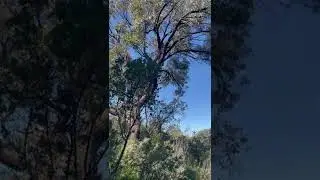 Hozan Canê Rê Bidin Çîya