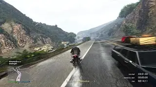 Grand Theft Auto V_copstuff