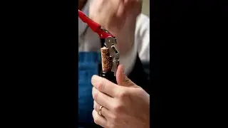 Tips when drinking wine