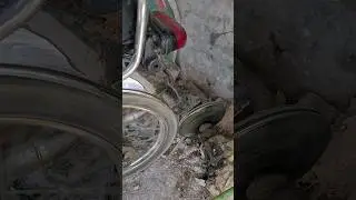 #shortvideo #pakbikerepairing #bikelover