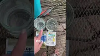 Очень эффектная баковая смесь для обработки сада. 