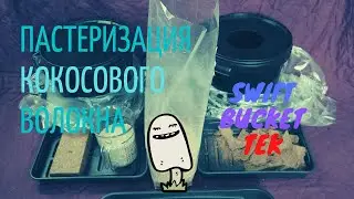 Pasteurization of coconut fiber. How to grow mushrooms?