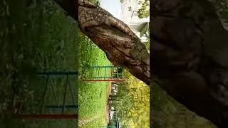 14 сентября 2020 г.