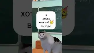 моя удача:... 