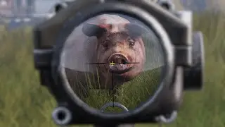Симулятор неосторожности [DayZ]
