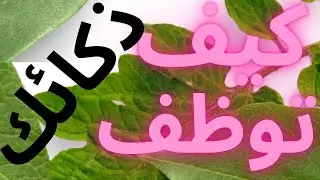 قصة الأميرة والراعي الذكي سرّ اللغز قذفتُ ما رأيت وقتلتُ ما لم أرَ ، قصة خيالية قبل النوم. قصص و عبر