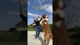 Il me dépasse 