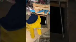 котаны ван лав 😼🤍 см в коменты 