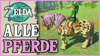 Alle 6 Einzigartigen Pferde | Zelda: Tears of the Kingdom