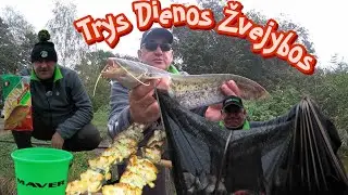 Trys Dienos Žūklėje