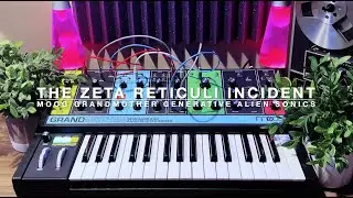 The Zeta Reticuli Incident - Moog Grandmother Generative Alien Soundscape