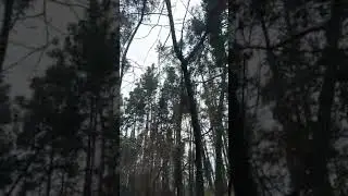 В окопе под шквальным обстрелом.Видео боя снято от первого лица.Добровольцы на Украине.война.ЗСУ.