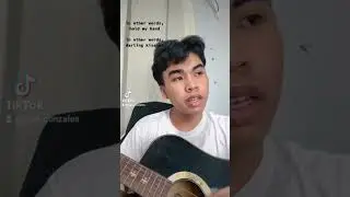 flv me to the moon cover