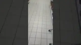 Пятёрочка в Воскресенске продливает жизнь продуктам