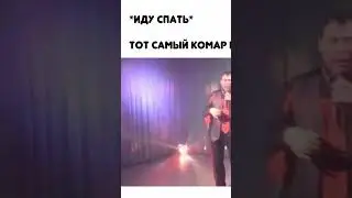 жиза