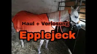 [XL Verlosung + Haul] Epplejeck Unboxing
