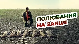 Полювання на зайця/Охота на зайца