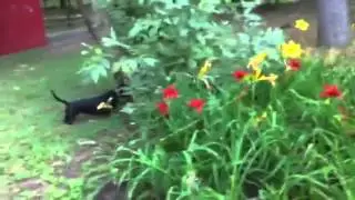 Ищи!