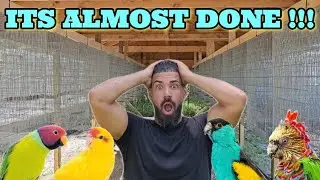 Finally finishing the Bird Aviary for the parrots 🦜