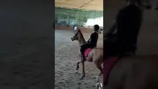 Это просто кобыла,на самом деле очень даже добрая