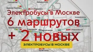 Электробусам в Москве добавили два новых маршрута