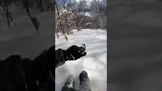 я видел это в горах Краснодарского края